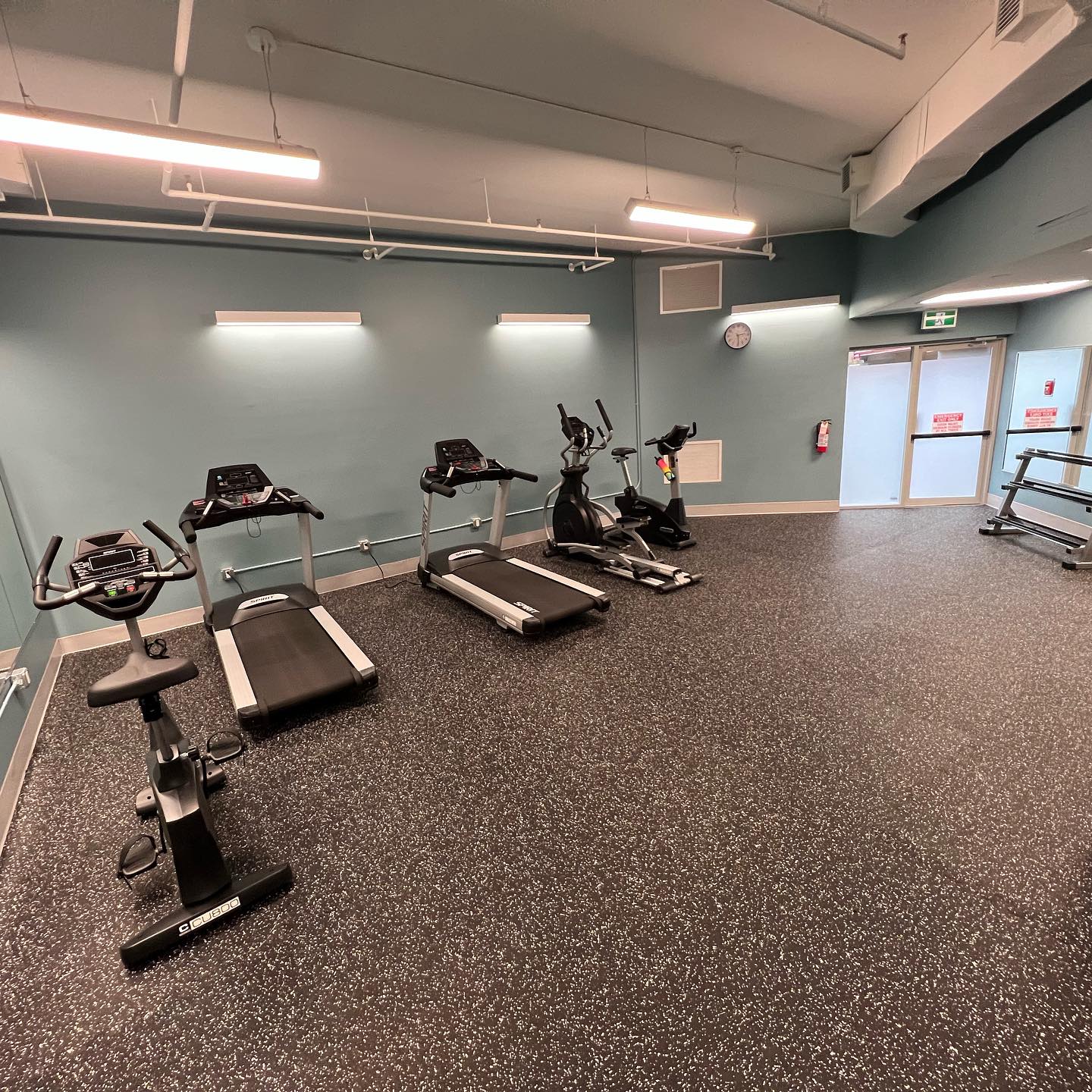 Elite Ultra Gym Flooring - Grey Fleck - SummitRubber