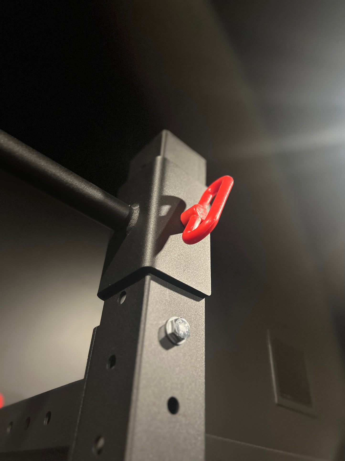 Folding Wall-Mounted Squat Rack - SummitRubber